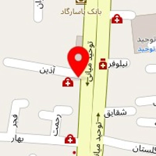دکتر شیوا رحمانیان