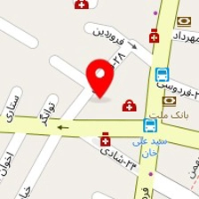 دکتر هایده عدیلی پور