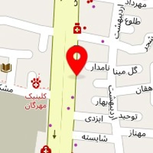 دکتر پریسا طلایی