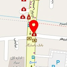 دکتر علیرضا روضاتی