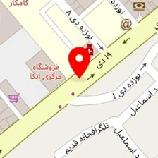 دکتر فرزانه سادات امینی نژاد