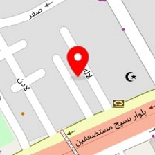 دکتر پرویز ویژه
