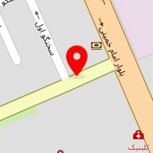 دکتر سیده فاطمه سیدی
