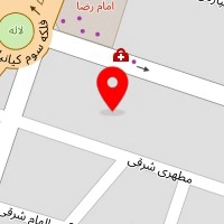 دکتر مجید حسین زاده 