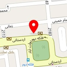 دکتر عبدالامیر ضیغمی