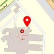 دکتر علی ذکی پور