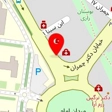 دکتر حسین پایه دار اردکانی