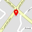 دکتر زینب میر علایی موردی
