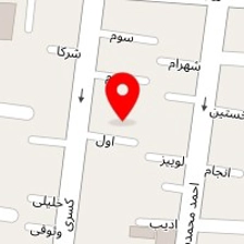 متین تویز