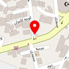فروشگاه اسباب بازی دیزنی لند