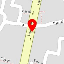  دکتر دهقانی متخصص ارتوپدی