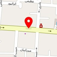 دکتر سهیلا میرزائیان