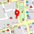 دکتر محمود ناصری