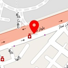 دکتر مهدی هاشمی اسکوئی
