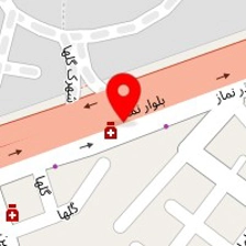 دکتر فرشته فکور