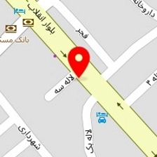 دکتر محمدصالح محمودی