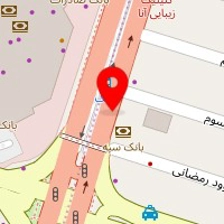 تصویربرداری پزشکی پونک