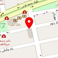دکتر محمدجواد افضل