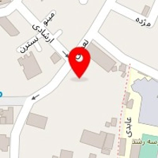 دکتر نازنین شاه حسینی