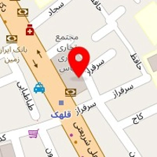 دکتر فریدون وزین دل