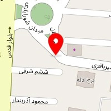 دکتر فرزین فروغی
