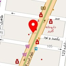 دکتر نزهت حمزه