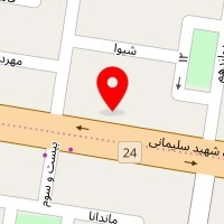دکتر مسعود صامت
