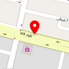 دکتر لیلا انصاری