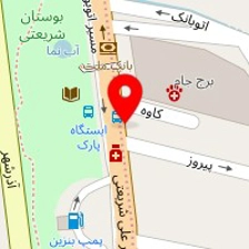 دکتر مشیت محمد زاده