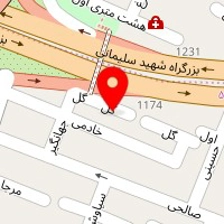 دکتر ناصر ایرانی