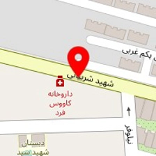 دکتر شادی محمدی