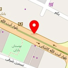 دکتر مژگان شهاب الدین