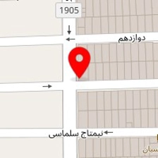 دکتر مرتضی لسانی