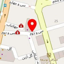 دکتر رضا آرین نیا