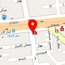 دکتر فاطمه ثلاثی