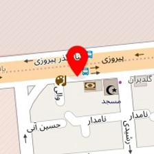 دکتر مهری نیک بین