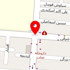 دکتر امیر سعید فضائلی