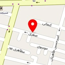 دکتر علی محمد فخر