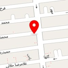 دکتر بهزاد امیری