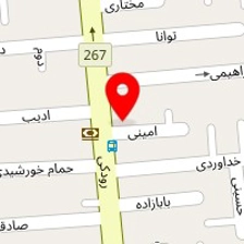 دکتر سعید وزیری