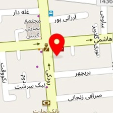 دکتر نیلوفر زمانی