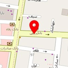 دکتر شاهین حمزه لو