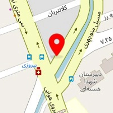 دکتر ناصر ادگی