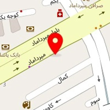 دکتر زهرا حاجی هاشمی