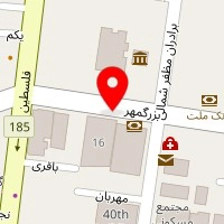 دکتر فلوریا نصیری