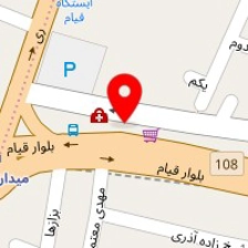 دکتر فروغ امیری نژاد
