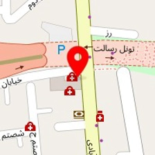 دکتر خدیجه ابراهیم نژاد