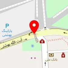 دکتر نسیم تقوی