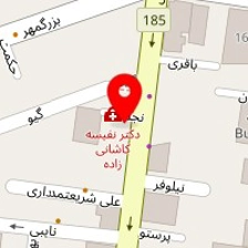 دکتر محمود محمدی