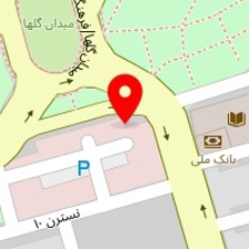 فروشگاه قصر بیات ارایشی رنگ مو واسباب بازی ولوازم خرازی